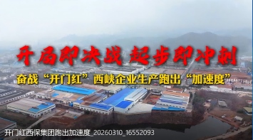 开门红西保集团跑出加速度